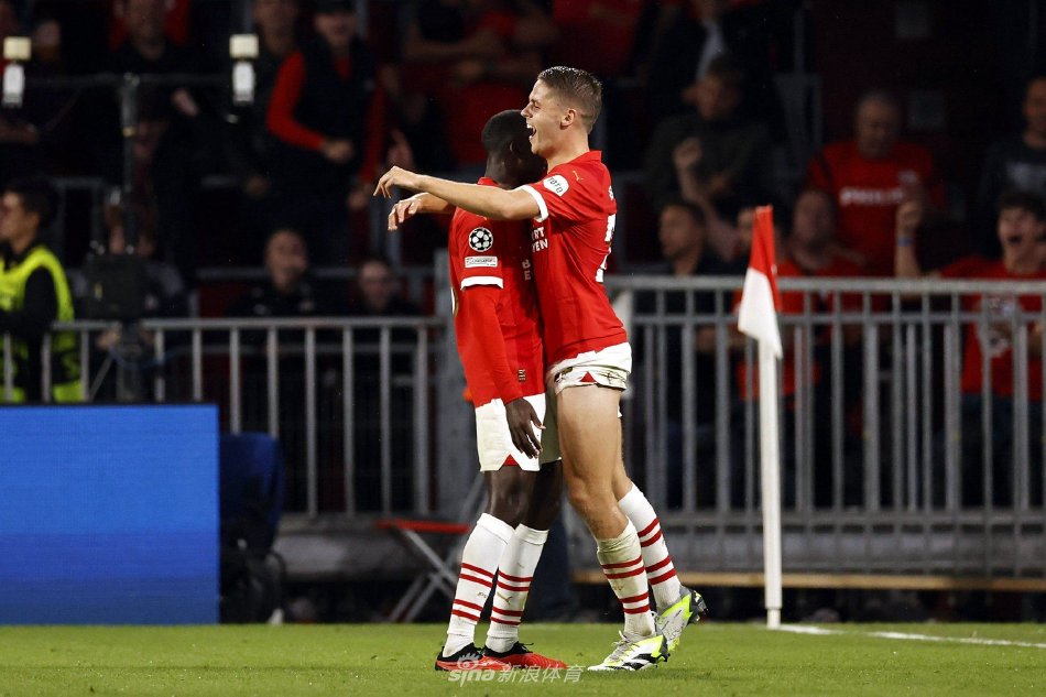 球水平的重 球水平的重